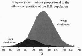 IQ bell curve