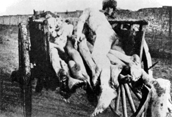 dead bodies in a wheelbarrow