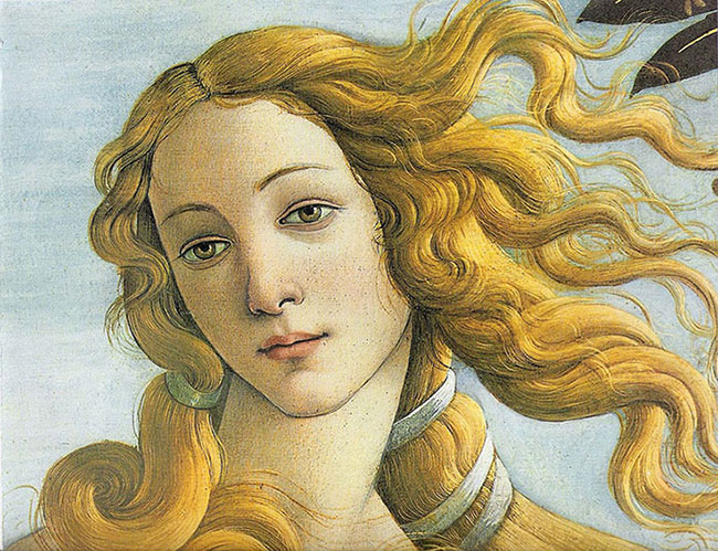 Botticelli's Venus